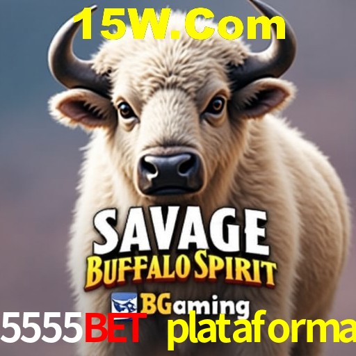 Interface do App 5555bet plataforma